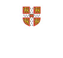 Cambridge International School